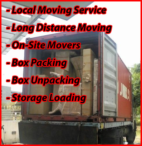 Packers And Movers Noida Sector 41